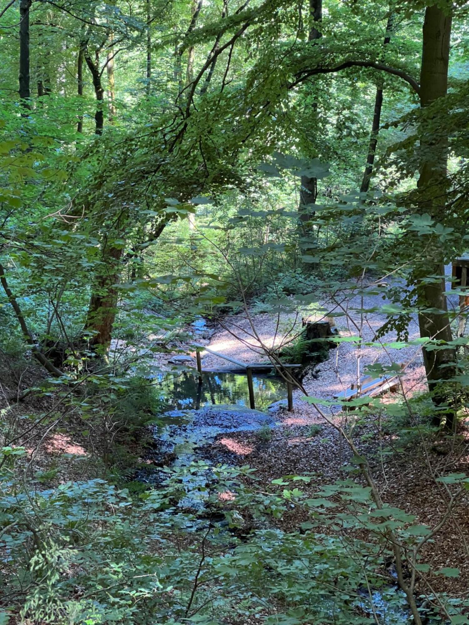 Ortwin Appartement Olsberg Buitenkant foto